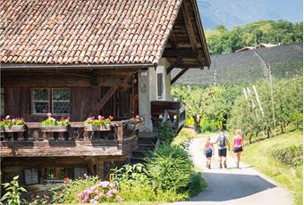 Sustainable holidays on the farm