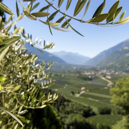 Clima a Parcines, Rablà e Tel