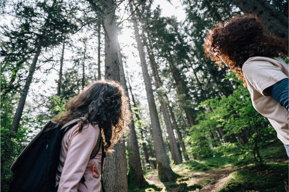 tv-hafling-voeran-meran2000-benjamin-pfitscher-energiequelle-wald-2024-22