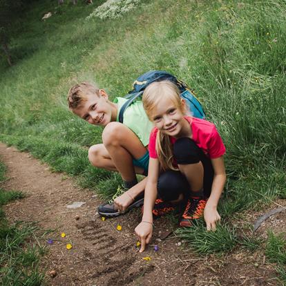 Newsletter from Naturns & Plaus
