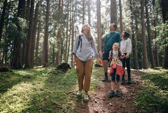 Hiking with children