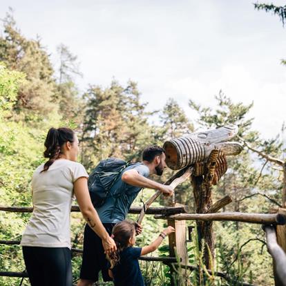 Excursions in Passeiertal Valley