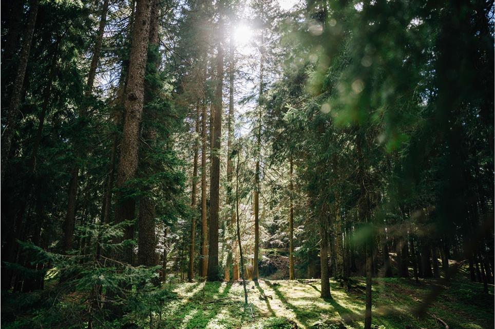 tv-hafling-voeran-meran2000-benjamin-pfitscher-knottnkino-2024-30