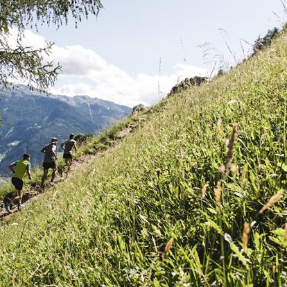 Trailrun Camp in Naturns