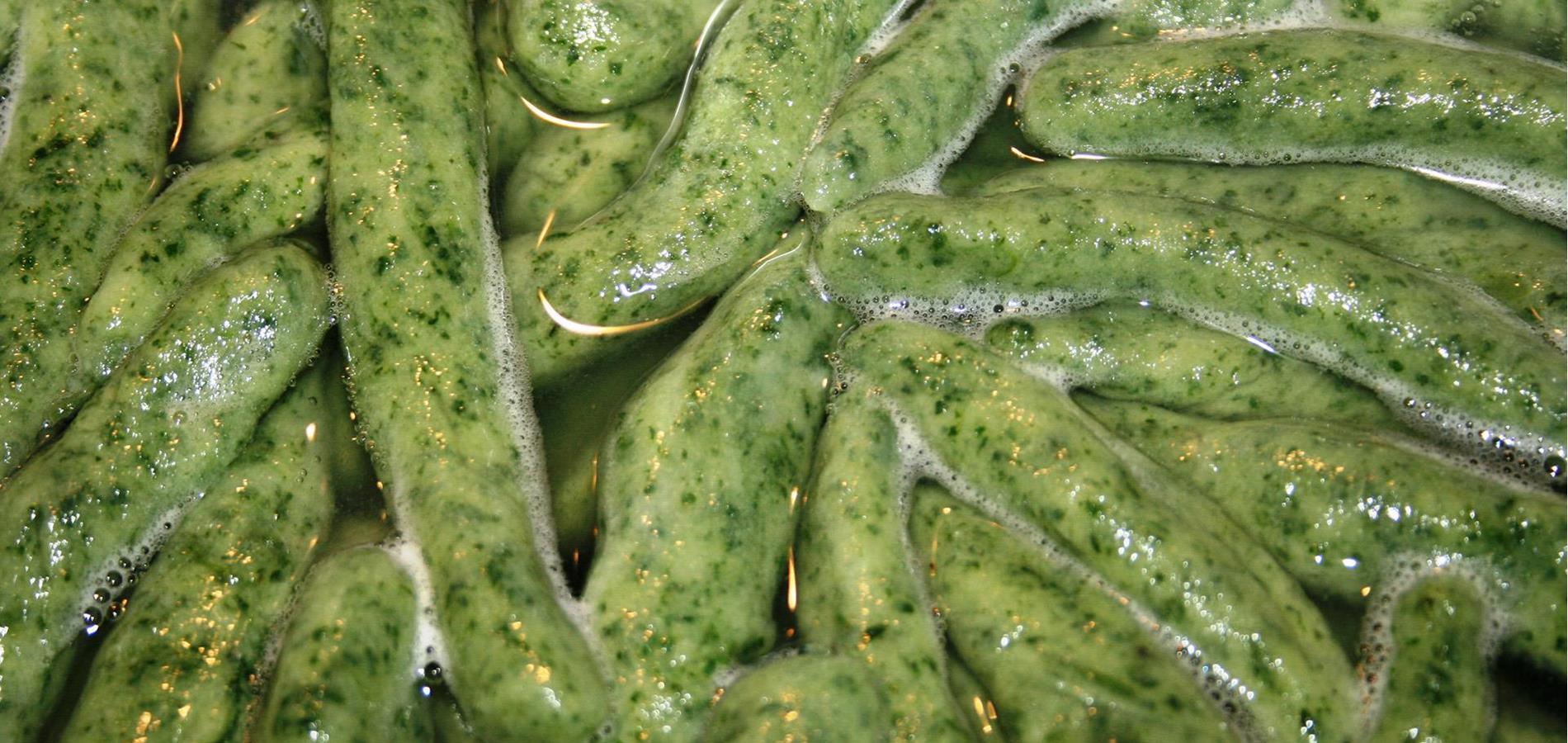 Nettle pasta