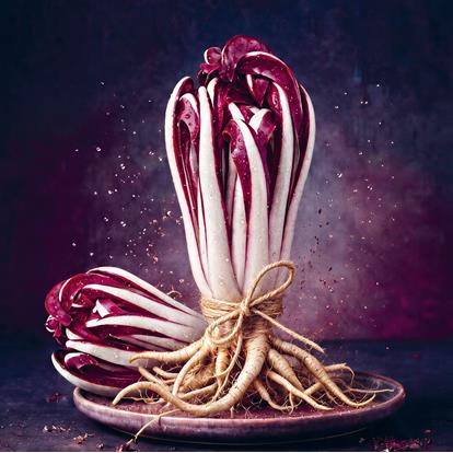 db-radicchiotage-2026-11