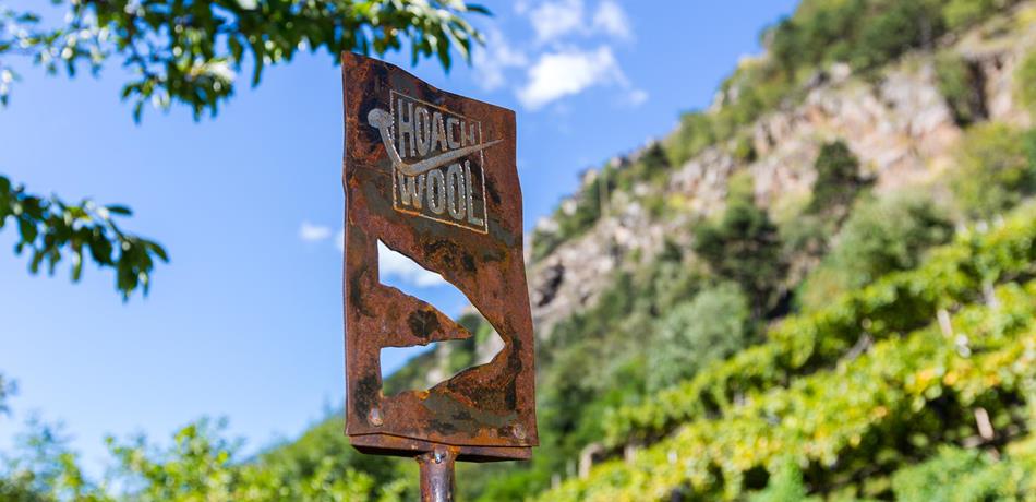 Der Klettersteig Hoachwool