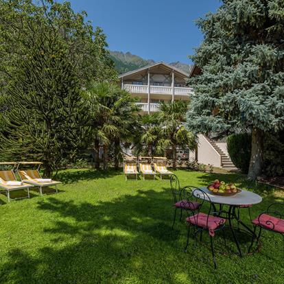 Eröffnungsspecial & Frühlingsangebot