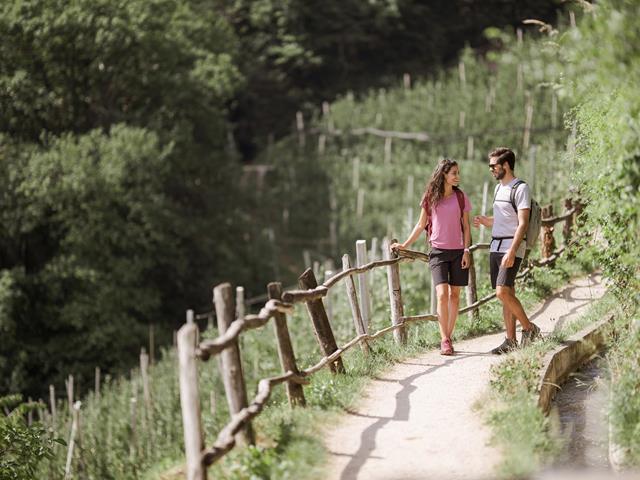 sommer-waalweg-wandern-tv-marling-armin-terzer-54