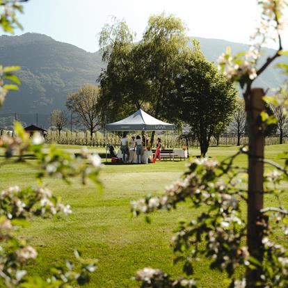 Apfelblüten Golfturnier- Greens und Gaumenfreuden