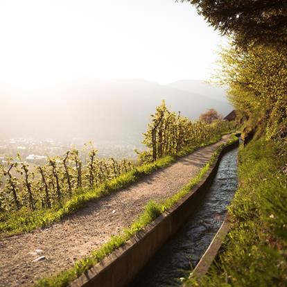 Willkommen im Weindorf Marling