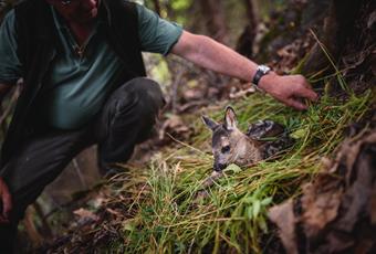 Species conservation in tourism