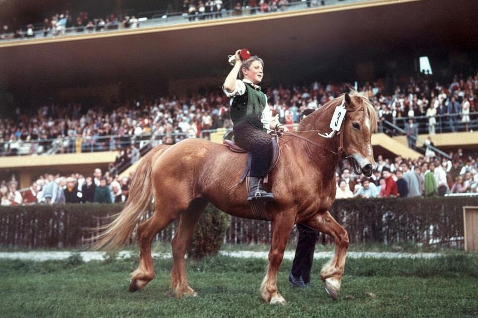 1974-klaus-reiterer-halbmair-bauerngalopprennen-opt