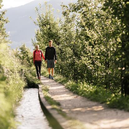 Hiking along the Waalweg trail of Marling