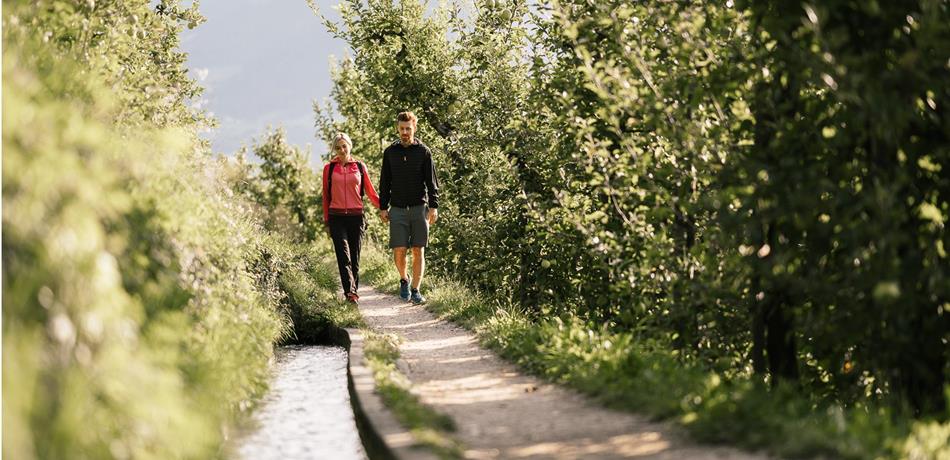 Hiking along the Waalweg trail of Marling