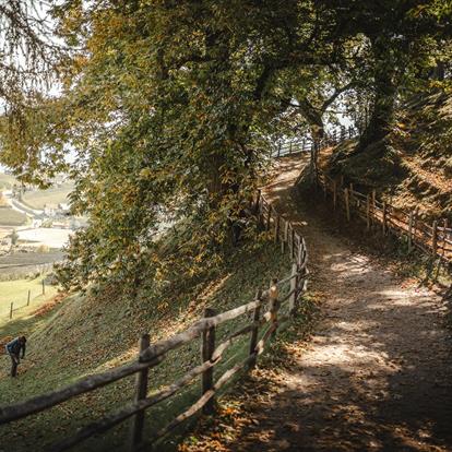 Lana connects. Movement and memories.