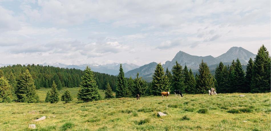 Monitoringbericht Tschögglberg