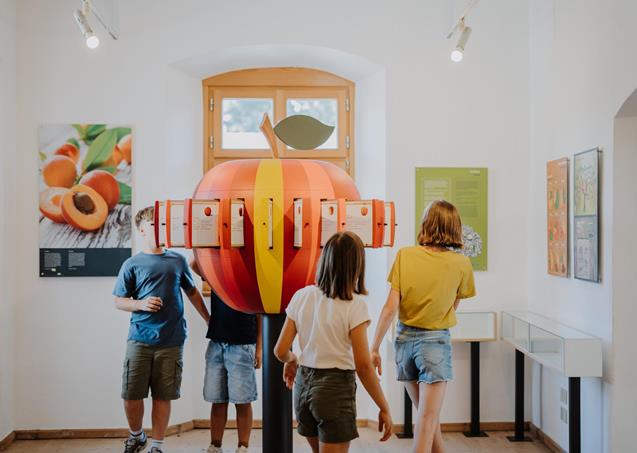 lanaregion-it-franziska-unterholzner-kindersommer-163