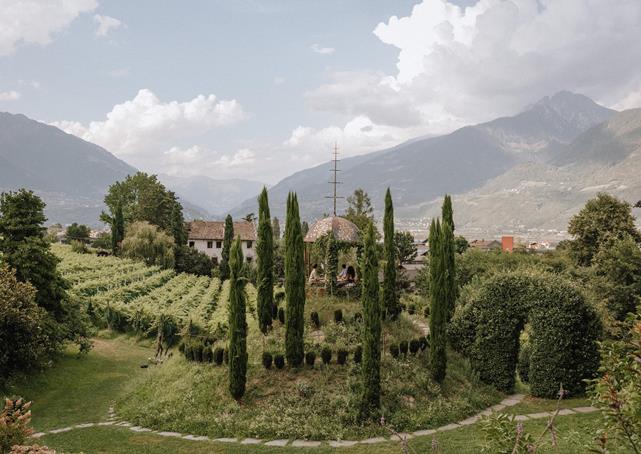 255-kra-nzelhof-2024-druckversion-emi-massmer-emotions-emim3958