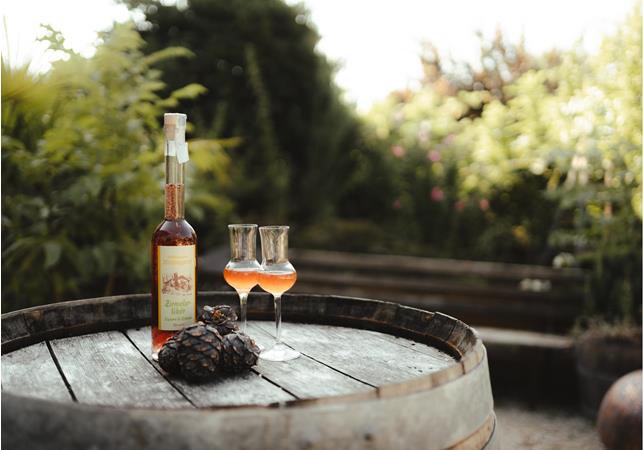 lanaregion-it-dominic-telser-reichneggerhof-11