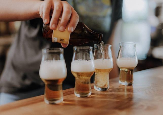 lanaregion-it-maike-wittreck-pfefferlechner-4