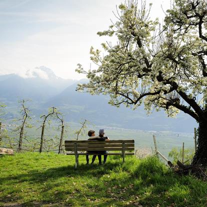 Familie in Lana und Umgebung