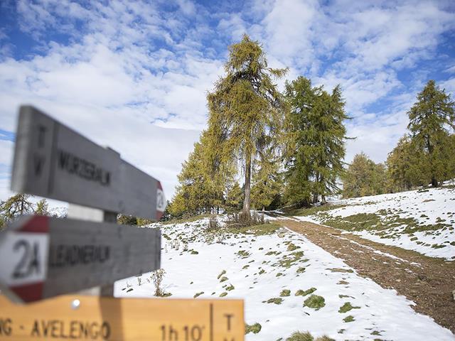 Wandern-Laerchen-im-Winter-Hafling-Voeran-Meran2000-Athesia-Tappeiner-af