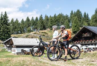 Mountain bike courses and guided tours