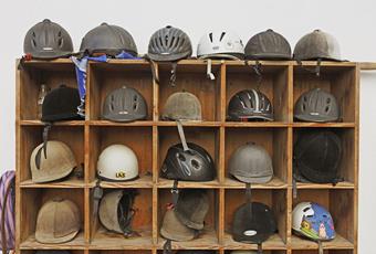 Sicheres Reitvergnügen in Hafling, Vöran und Meran 2000