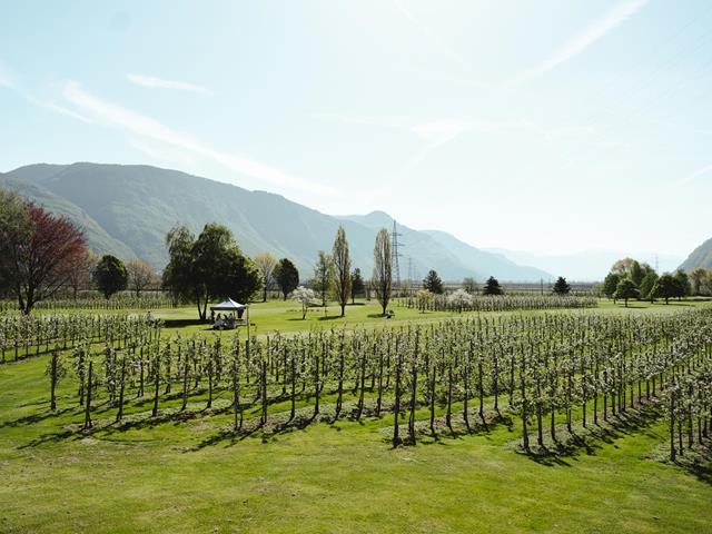 lanaregion-it-golfturnier-2024-dominic-telser-web-9