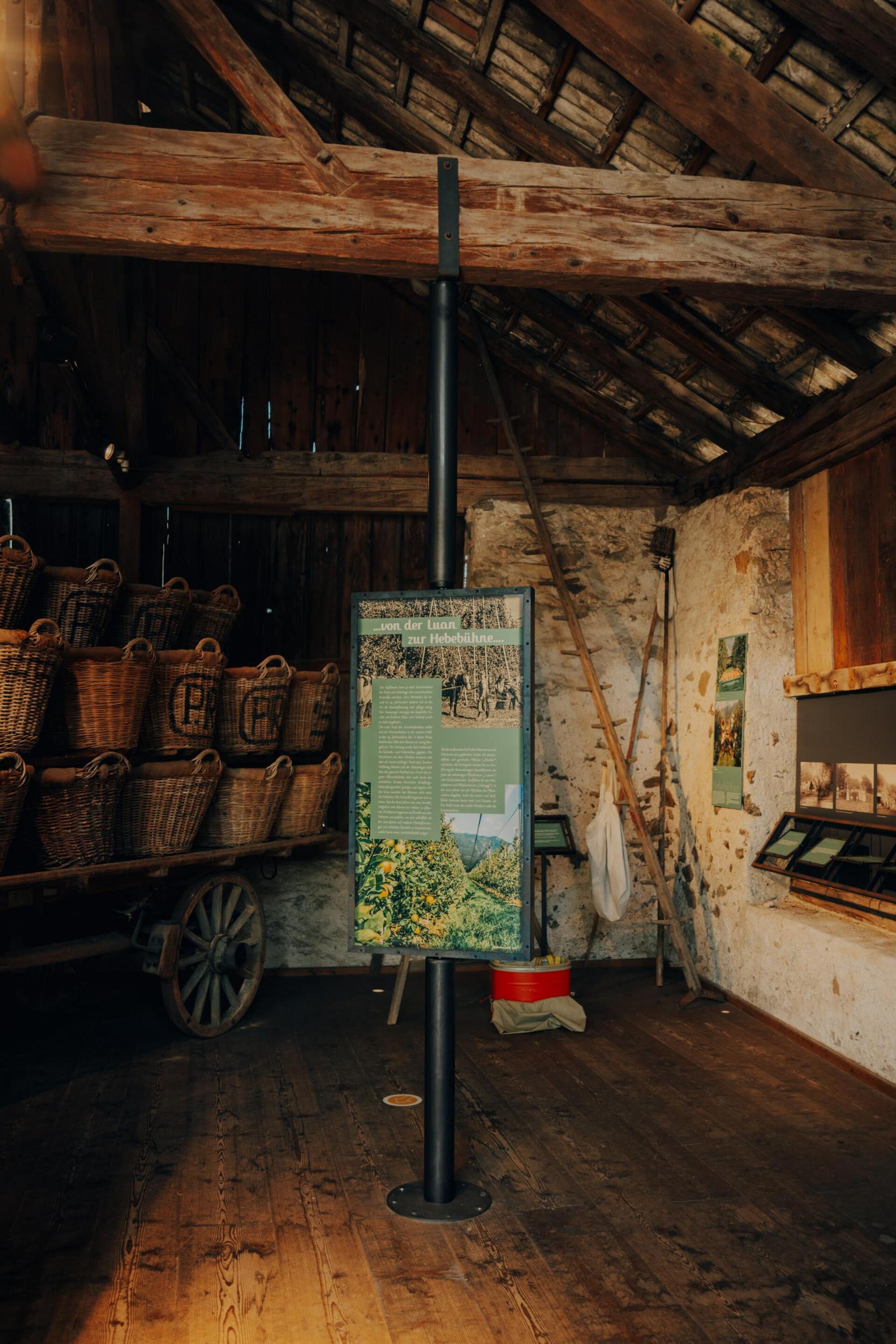 obstbaumuseum-maike-wittreck-2