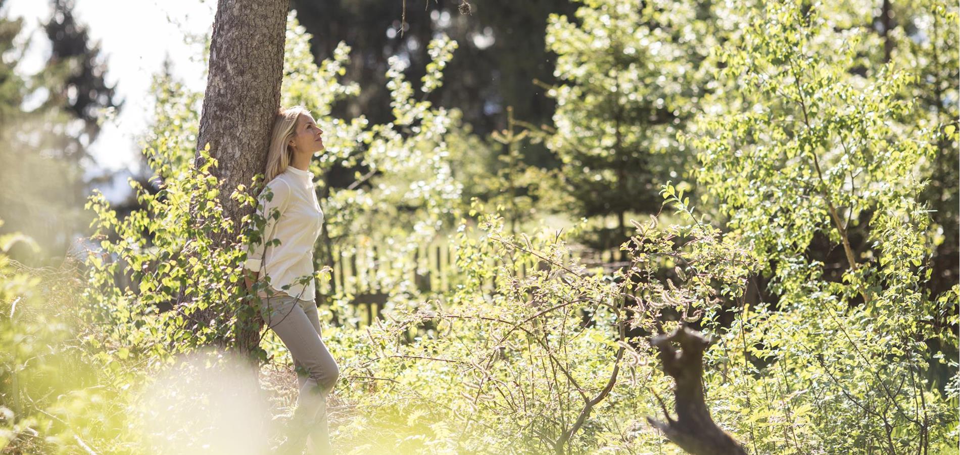 Forest bathing: More than just hugging trees?