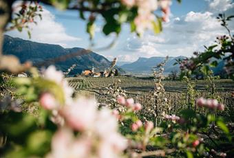 Frühling in Dorf Tirol