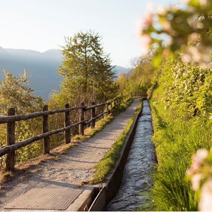 Wanderwege in Lana und Umgebung bei Meran
