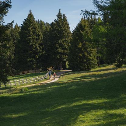 Begeleide fietstochten in en rond Lana