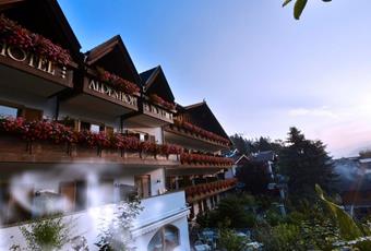 Alpenhof