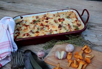 Chanterelle Lasagna