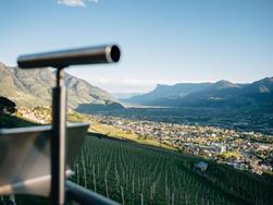 Wilt u meer te weten komen over de plaatselijke fauna van Zuid-Tirol?