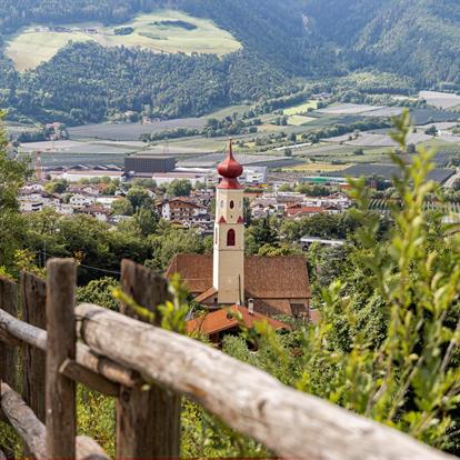 Cataloghi da scaricare e sfogliare