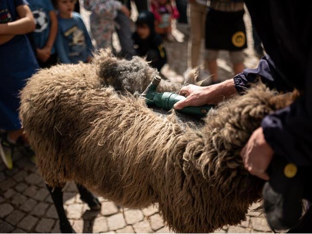 lanaregion-it-patrick-schwienbacher-pawigl-brotzeit-22