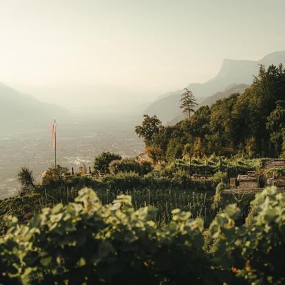 Maßgeschneiderte Erlebnisse und Aktivitäten in Lana und Umgebung