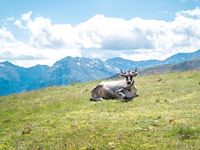 -tm-ultental-magdalenam-09501