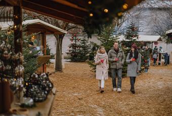 Hoogtepunten van het evenement