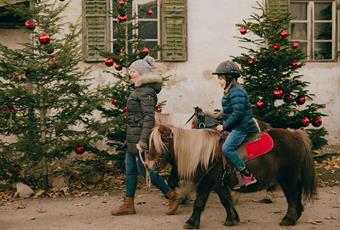 Sterntaler Weihnachtsmarkt für Familien