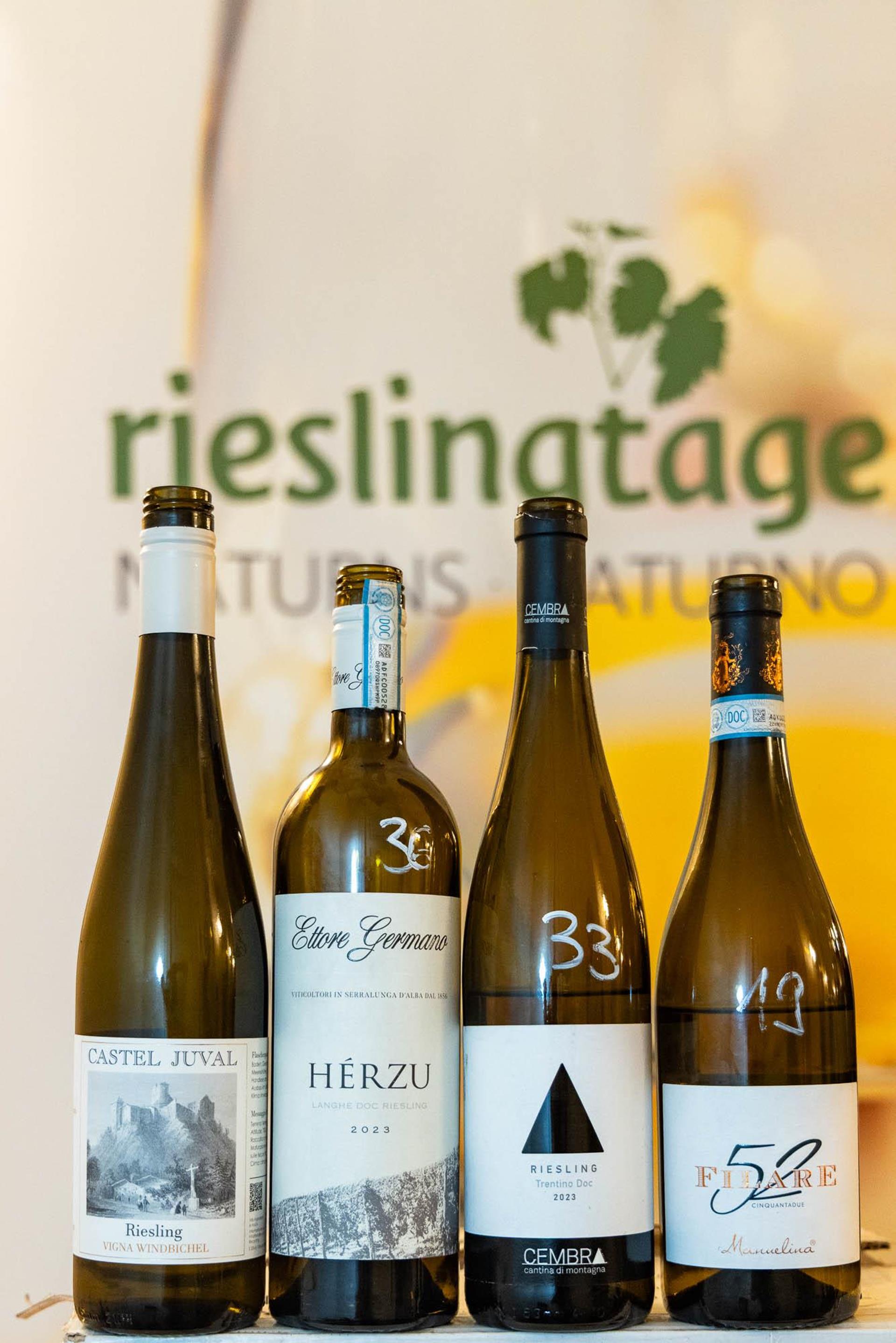 praemierung-2025-merano-winefestival-sieger-tg-naturns-santer-peter-13