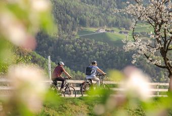 The cycle path of the Val Venosta