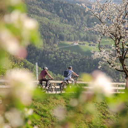 The cycle path of the Val Venosta