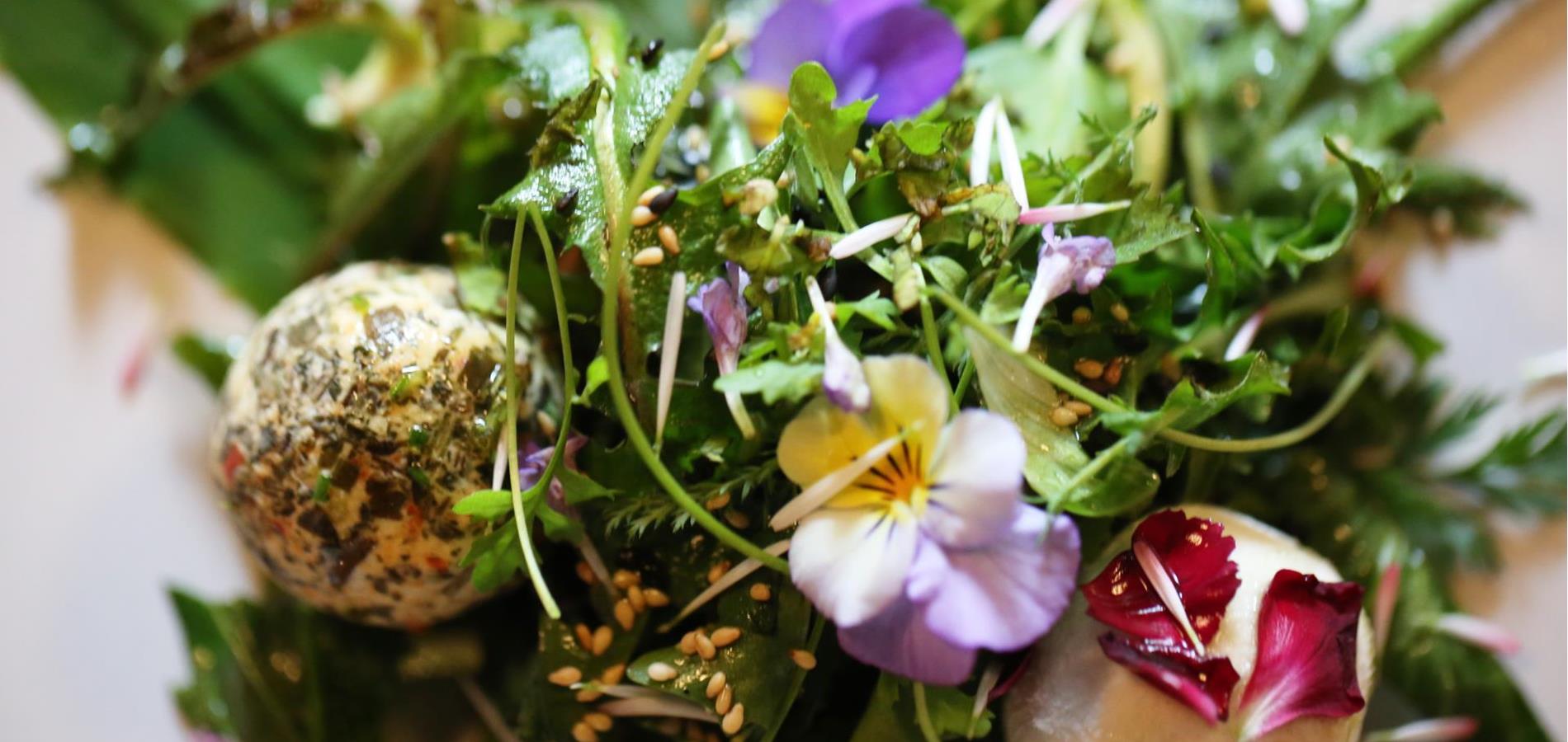 Ziegenkäsepralinen auf Frühlings-Wildkäutersalat