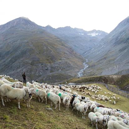 Schnalstal Valley