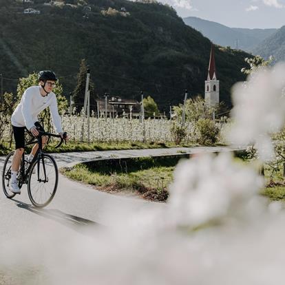 Lana connects. Movement and memories.